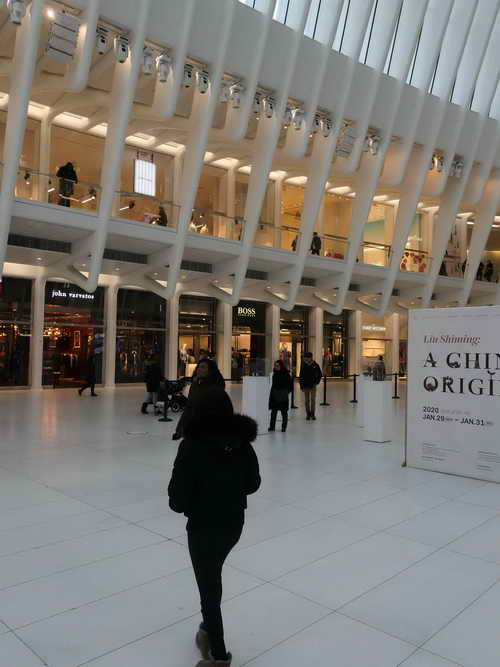 NYC_2020-01-29 13-34-24_P1080599
